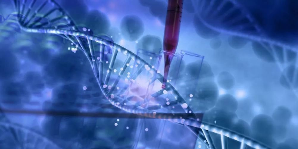 北京生物醫(yī)藥制品，單兵急救包,衛(wèi)生員急救行囊,軍醫(yī)背囊,家庭應(yīng)急物資儲(chǔ)備,人防應(yīng)急包等產(chǎn)品